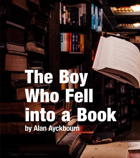 The Boy Who Fell Into A Book